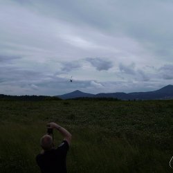 2013 Suche 29062013 Olivera